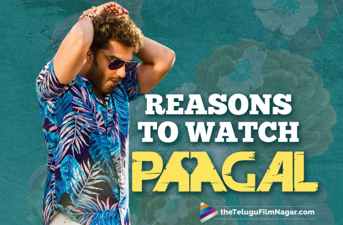 Reasons To Watch: Paagal Movie,Vishwak Sen,Nivetha Pethuraj,Naressh Kuppili,Naressh Kuppili Movies,Paagal Music,Paagal Theatrical Release,Paagal Telugu Movie Trailer,Nivetha Pethuraj Paagal,Naressh Kuppili,Vishwak Sen,Vishwak Sen Movies,Vishwak Sen Paagal Movie,Paagal Latest 2021 Telugu Movie,Paagal Telugu Movie Updates,Paagal Telugu Movie Live Updates,Paagal Movie Live Updates,Paagal Movie Story,Paagal 2021,Reasons To Watch Paagal,Reasons To Watch Paagal Movie,Reasons To Watch Paagal Telugu Movie,Paagal Movie Release Date,Vishwak Sen Paagal,Nivetha Pethuraj Paagal Movie,Paagal Release Date,Naressh Kuppili Paagal,Paagal,Paagal Movie,Paagal Telugu Movie,Paagal Updates,Paagal Movie Updates,Paagal Movie Latest Updates,Paagal Movie Latest News,Paagal Trailer,Paagal Movie Trailer,Paagal Teaser,Paagal Telugu,Paagal On August 14th,Vishwak Sen New Movie,Vishwak Sen Latest Movie,Vishwak Sen Movie,Paagal Telugu,Vishwak Sen And Nivetha Pethuraj Movie,Nivetha Pethuraj Movies,Paagal Vishwak Sen,Paagal Movie Songs,Paagal Songs,Paagal Telugu Full Movie,Paagal FUll Movie,Reasons To Watch Vishwak Sen Paagal Movie,Paagal Movie Teaser,Radhan,Paagal Film,Paagal Release Promo,Paagal Promo,Paagal Reasons To Watch,#PaagalOnAug14th,#Paagal