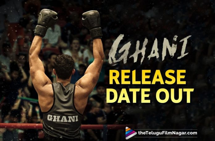 Varun Tej Starrer Ghani Movie Release Date Announced,Telugu Filmnagar,Latest Telugu Movies 2021,Varun Tej,Actor Varun Tej,Hero Varun Tej,Varun Tej Latest News,Varun Tej Movies,Varun Tej New Movie,Varun Tej Latest Movie,Varun Tej New Movie Update,Varun Tej Ghani,Varun Tej Ghani Movie,Ghani Varun Tej,Ghani,Ghani Movie,Ghani Telugu Movie,Ghani Update,Ghani Movie Updates,Ghani Movie Latest Updates,Ghani Movie News,Ghani Movie Latest News,Ghani Movie Release Date Announced,Ghani Release Date Announced,Ghani Release Date,Ghani Movie Release Date,Ghani Telugu Movie Release Date,Varun Tej Ghani Release Date,Varun Tej Ghani Movie Release Date,Ghani Latest Updates,Ghani Movie Release Official Update,Ghani Official Release Date,Ghani Release Date Out,Varun Tej Upcoming Movie,Varun Tej Next Movie,Varun Tej Latest Film Updates,Ghani Poster,Ghani Movie Poster,Ghani Movie Latest Poster,Ghani Movie Release On Diwali 2021,Varun Tej Ghani Movie Release In Diwali 2021 In Theaters,Varun Tej Ghani Movie Release In Diwali 2021,Ghani Diwali 2021,Varun Tej Ghani Movie Release In Theaters,Varun Tej Ghani Diwali Release,Ghani Releases For Diwali,Varun Tej Ghani Locks Diwali Release Date,Varun Tej Ghani To Release In Theatres This Diwali 2021,Varun Tej Ghani Movie Released On Diwali,Varun Tej Ghani Locks Diwali Release,Varun Tej Ghani On Diwali,#Ghani