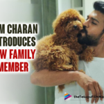 Ram Charan Introduces A New Adorable Addition To His Family,Ram Charan Welcomes New Puppy Into The Family,Ram Charan Welcomes Cute Little Member In His Family,Ram Charan Welcomes Rhyme,Ram Charan Welcomes Home A New Furball Called Rhyme,Ram Charan Welcomes Rhyme In His Life,Ram Charan Welcomes New Puppy,Ram Charan New Pet,Ram Charan New Pet Rhyme,Ram Charan New Furball Called Rhyme,Ram Charan Welcomes A New Furry Friend Rhyme,Ram Charan Welcomes A New Pet,Ram Charan Latest Photos,Ram Charan Latest Pics,Ram Charan Latest Photo Gallery,Ram Charan Welcomes Rhyme,Ram Charan New Pet Rhyme Photos,Telugu Filmnagar,Latest Telugu Movies 2021,Telugu Film News 2021,Tollywood Movie Updates,Latest Tollywood Updates,Mega Power Star Ram Charan,Ram Charan Movies,Ram Charan New Movie,Ram Charan Latest Movie,Ram Charan Upcoming Movie,Ram Charan New Movie Update,Ram Charan Latest Movie Update,Ram Charan Latest Film Updates,Ram Charan Latest News,Ram Charan Pics,Ram Charan Next Movies,Ram Charan Next Project,Ram Charan Upcoming Project,Ram Charan Pet,Ram Charan RRR,Ram Charan RRR Movie,Ram Charan RRR Movie Movie Updates,Ram Charan Introduces New Family Member,RC15,RC15 Movie,RC15 Movie Update,RC15 Updates,RC15 Movie Latest Updates,Acharya,Acharya Movie,Ram Charan Acharya,Ram Charan Acharya Movie,RRR,RRR Film,RRR Movie,RRR Movie Update,Ram Charan Latest News,Ram Charan Upcoming Movie Details,Ram Charan Latest Photos,Ram Charan Movie Update,#RamCharan
