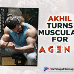 Akhil Turns Muscular For Agent Movie