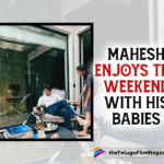 Mahesh Gets Surrounded By His Babies For The Weekend,Mahesh Babu Surrounded By His Babies For The Weekend,Mahesh Babu Enjoys Weekend With His Babies,Telugu Filmnagar,Latest Telugu Movies News,Telugu Film News 2022,Tollywood Movie Updates,Latest Tollywood Updates,Superstar Mahesh Babu,Mahesh Babu,Mahesh Babu Movies,Mahesh Babu New Movie,Mahesh Babu Latest News,Mahesh Babu News,Sarkaru Vaari Paata,Mahesh Babu Family,Sitara Ghattamaneni,Gautam Ghattamaneni,Namrata Shirodkar,Mahesh Babu New Video,Mahesh Babu Latest Video,Mahesh Babu Latest Video With Daughter Sitara,Video Of Mahesh Babu With Daughter Sitara,Mahesh Babu Video With Daughter Sitara,Mahesh Babu Daughter Sitara Video,Mahesh Babu Daughter Sitara Latest Video,Sitara Ghattamaneni Videos,Sitara Ghattamaneni New Video,Sitara Ghattamaneni Video,Sitara Videos,Mahesh Babu And Daughter Sitara,Mahesh Babu And Daughter Sitara Video,Mahesh Babu And Daughter Sitara New Video,Mahesh Babu And Daughter Sitara Latest Video,Latest Video of Mahesh Babu,Mahesh Babu Latest Pic,Mahesh Babu Latest,Mahesh Babu's Candid Moments With His Kids,Mahesh Babu Candid Moments With His Kids,Surrounded By All His Babies,Mahesh Babu Latest Photo,Mahesh Babu Latest Picture,Mahesh Babu Latest Photo With His Babies,Mahesh Babu Latest Pic With His Babies,Gautham,Mahesh Babu Babies,Mahesh Babu Pet,Mahesh Babu Dog,#MaheshBabu,#SitaraGhattamaneni