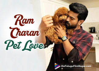 Ram Charan Spends Late Night With His Little Pup,Telugu Filmnagar,Latest Telugu Movies 2022,Telugu Film News 2022,Tollywood Movie Updates,Latest Tollywood Updates, Ram Charan,Mega Power Star Ram Charan,Ram Charan Movies,Ramcharan Movie Updates,Ramcharan upcoming Movie,Ramcharn Latest Movie RRR,Ramcharan RRR Movie Updates, Ram Charan With His Little Pup,Ram Charan spend late night With His Pup,Ram charan enjoy with His Puppy at late Nights,Ram Charan is a huge lover of animals, Ram Charan posted a video playing with his puppy late at night,Ramcharan shared a small video clip where he can be seen playing with his little puppy, Ram Charan wrote in his Instagram Back home to this bundle of joy Rhyme,Ram Charan along with SS Rajamouli and Jr NTR visited the divine city of Varanasi, RRR is going to be released on 25th March 2022,Ram charan RC15,Ram Charan RC15 Movie,Ram Charan Next Movie RC15,RamCharan in Social media,Ramcharan in Instagram,#Ramcharan,