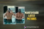 Mahesh Babu Goes Shirtless – Fans Expecting The Same For SSMB28,Telugu Filmnagar,Latest Telugu Movies News,Telugu Film News 2022,Tollywood Movie Updates,Latest Tollywood Updates,Mahesh Babu,Mahesh Babu Movies,Mahesh Babu New Movie,Mahesh Babu Latest Movie,Mahesh Babu Upcoming Movies,Mahesh Babu New Movie Update,Mahesh Babu SSMB28,Mahesh Babu SSMB28 Movie,Mahesh Babu SSMB28 Release Date,SSMB28 Movie,SSMB28 Movie Release Date,SSMB28,SSMB28 Telugu Movie,SSMB28 Movie Updates,Trivikram,SSMB 28 Release Date Announced,SSMB28 Movie Latest Updates,Mahesh Babu Latest Movie Updates,Mahesh Babus Shirt Less Pictures,Mahesh Babu's shirtless picture,Mahesh Babu Goes Shirtless,Mahesh Babu Pics,Mahesh Babu Latest Photo,Mahesh Babu Latest Pictures,Mahesh Babu New Photo,Mahesh Babu Latest Look,Mahesh Babu New Look,Mahesh Babu Six Pack Look,Mahesh Babu Photos,Mahesh Babu Pictures,Mahesh Babu Pics,Mahesh Babu Images,Mahesh Babu Latest Pic,Mahesh Babu Latest,Mahesh Babus Shirtless Pic,Mahesh Babus Shirtless Photo,Mahesh Babu goes shirtless in pool,Mahesh Babu SSMB28 Look,Mahesh Babu Latest News,Mahesh Babu Latest Film Updates