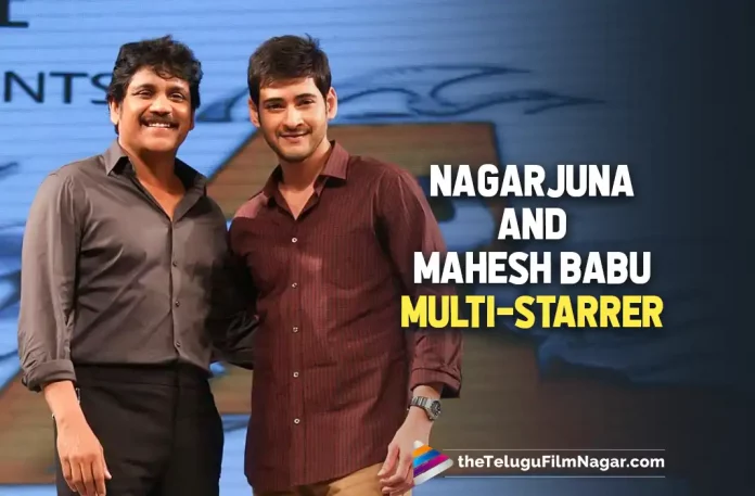 Nagarjuna And Mahesh Babu Are In Plans To Do A Multi Starrer,Ketika Sharma Posts Pushpa Movie Dialogue,Telugu Filmnagar,Telugu Film News 2022,Telugu Filmnagar,Tollywood Latest,Tollywood Movie Updates,Latest Telugu Movies News,Ketika Sharma, Acctress Ketika Sharma,Ketika Sharma Upcoming Movies,Ketika Sharma latest Updates,Ketika Sharma Posts Pushpa Movie Dialogue in Social Media,Ketika Sharma Pushpa Dialogue Goes Viral in Social Media,Ketika Sharma Post Goes Viral in Social Media,Ketika Sharma Upcoming Movies, Ketika Sharma New Movie Updates,Ketika Sharma Post Allu Arjun Pushpa Movie Dialogue in Social Media