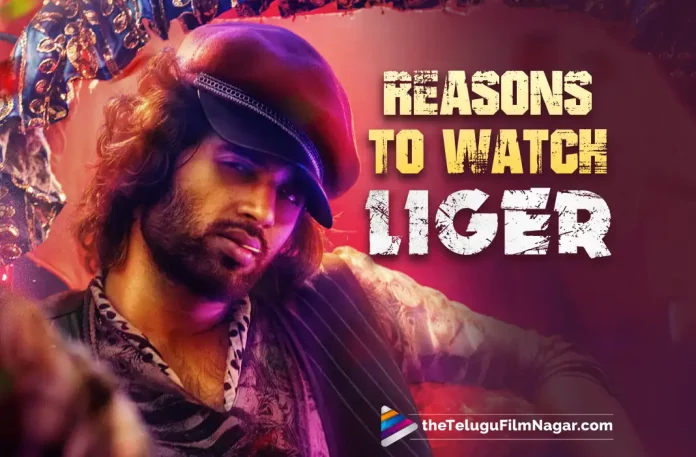 Liger Movie: Reasons To Watch – Vijay Deverakonda, Puri Jagannadh, Mike Tyson And Others,Telugu Filmnagar,Latest Telugu Movies News,Telugu Film News 2022,Tollywood Latest,Tollywood Movie Updates,Tollywood Upcoming Movies,Liger Movie,Liger Telugu Movie,Liger Movie Updates,Liger Movie Reason To Watch,Vijay Deverakonda,Rowdy Hero Vijay Deverakonda,Vijay Deverakonda with Pouri Jagannadh Upcoming Movie Liger,Vijay Deverakond with Mike Tyson Upcoming Movie Liger,Mike Tyson in Liger Movie, Puri Jagannadh Liger Movie Releasing on 25th August,Puri Jagannadh,Liger Telugu Movie Review,Liger Movie Review,Liger Review,Liger Telugu Review,Liger Movie Review And Rating,Liger Movie Rating,Liger 2022 film,Liger Critics Review,Liger 2022 - Movie,Liger - Telugu Movie Reviews,Liger 2022 Movie Rating,Liger 2022,Liger film,Liger Movie 2022,Liger Movie: Review,Liger Climax review,Liger Movie Review Out,Liger Story review,Liger - Reviews,Liger First Movie Review Out,Liger Movie Review 2022,Liger Review 2022,Liger Movie Highlights,Liger Movie Plus Points,Liger Movie Review Telugu,Liger Movie Public Talk,Liger Movie Public Response,Liger 2022,Liger,Liger Movie,Liger Telugu Movie,Liger Movie Updates,Liger Telugu Movie Updates,Liger Telugu Movie Live Updates,Liger Telugu Movie Latest News