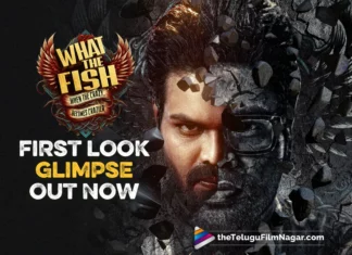 What The Fish First Look Glimpse Out Now