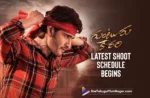 Mahesh Babu's Guntur Kaaram Movie Latest Shoot Schedule Begins Today