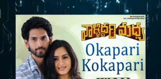 Watch Okapari Kokapari Vayyaramai Video Song From Valliddari Madhya Movie