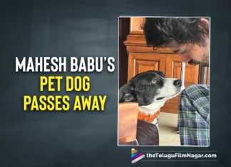 Mahesh Babu’s Beloved Pet Dog Passes Away- Namratha Shares A Heartfelt Note