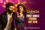 Skanda First Single Nee Chuttu Chuttu Promo Out Now