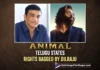 Tollywood Producer Secures Theatrical Rights For Ranbir Kapoor’s Animal