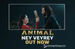 Animal New Song: Ney Veyrey Out Now