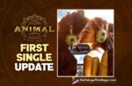 The Sound of Animal: First Single Release Date Update