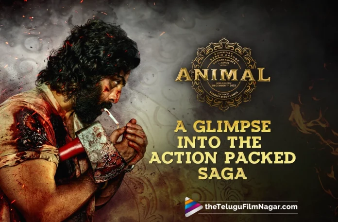 Animal Unveils Thrilling Trailer: A Glimpse into the Action Packed Saga