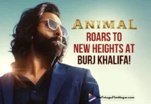 Animal Roars to New Heights at Burj Khalifa!