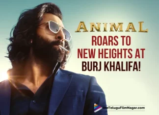 Animal Roars to New Heights at Burj Khalifa!