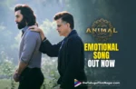 Animal Emotional Song: Nanna Nuv Naa Pranam, Illuminates the Complexity of Father-Son Dynamics