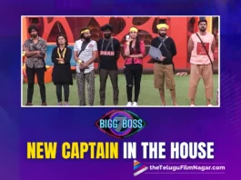 Bigg Boss 7 Telugu : New Captain in the House