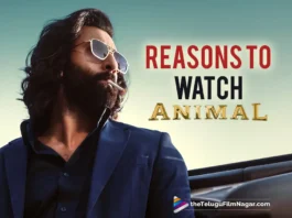 Discover the Compelling Reasons to Watch Animal Featuring Ranbir Kapoor and Rashmika Mandanna