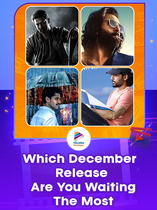 Which December Release Are You Waiting The Most: Animal,Salaar And Many More