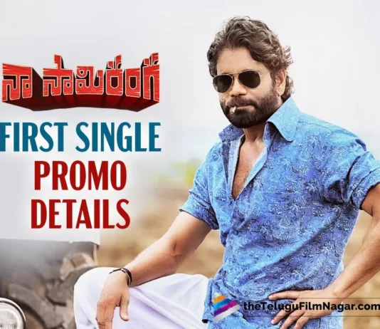 Nagarjuna’s Naa Saami Ranga First Single Promo details