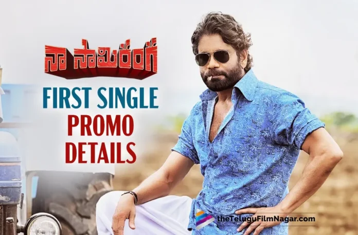 Nagarjuna’s Naa Saami Ranga First Single Promo details
