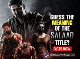 Salaar: Part 1 – Ceasefire: What Do you think about the meaning of Prabhas starrer Salaar Movie Name? Vote Now