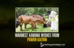 Pawan Kalyan's Kanuma wishes