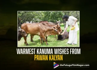 Pawan Kalyan's Kanuma wishes