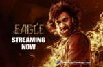 Ravi Teja-Eagle-Streaming-OTT-Amazon