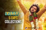 Tillu Square Day 5 collections