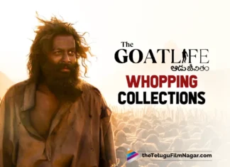 The goat Life collections